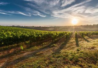 La route des vins en Provence Le Prieuré